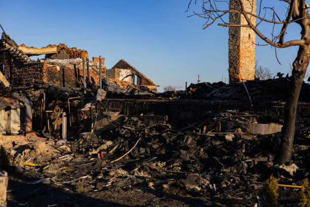 Reliable Fire Damage Restoration contractor in Wyoming, MN by Fire Damage Doption